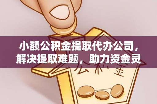 长泰小额公积金提取代办公司，解决提取难题，助力资金灵活使用