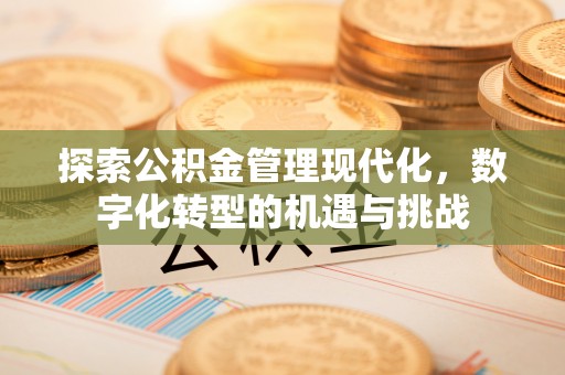 长泰探索公积金管理现代化，数字化转型的机遇与挑战