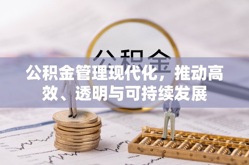 长泰公积金管理现代化，推动高效、透明与可持续发展
