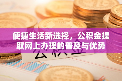 长泰便捷生活新选择，公积金提取网上办理的普及与优势