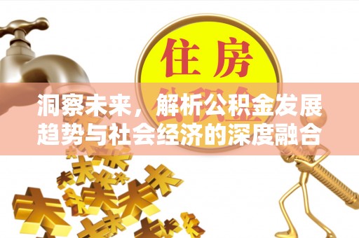 长泰洞察未来，解析公积金发展趋势与社会经济的深度融合