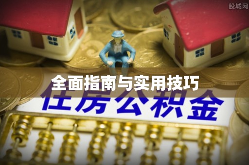 长泰全面指南与实用技巧