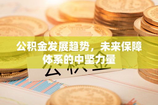 长泰公积金发展趋势，未来保障体系的中坚力量
