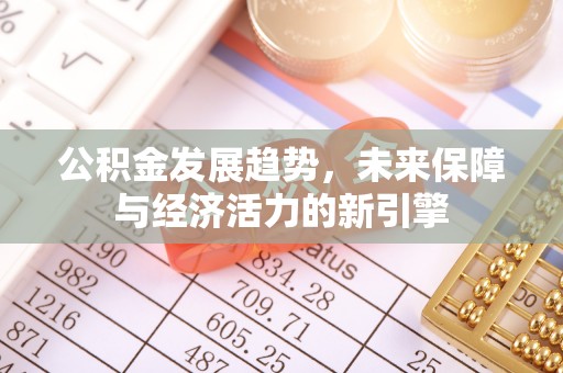 长泰公积金发展趋势，未来保障与经济活力的新引擎