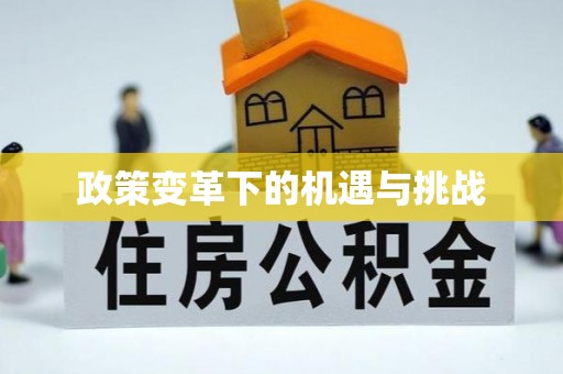 长泰政策变革下的机遇与挑战
