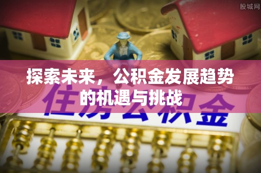 长泰探索未来，公积金发展趋势的机遇与挑战