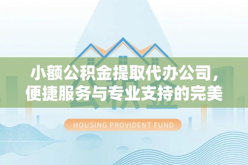 长泰小额公积金提取代办公司，便捷服务与专业支持的完美结合