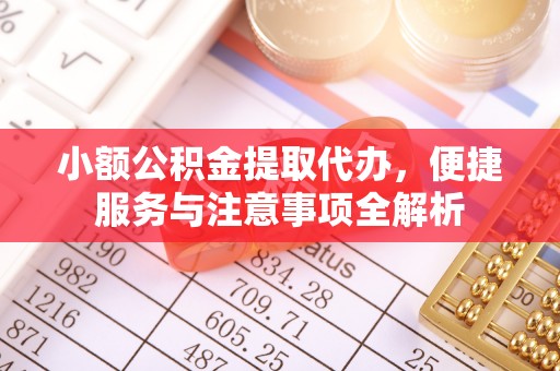 长泰小额公积金提取代办，便捷服务与注意事项全解析