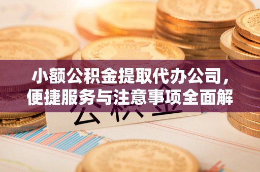 长泰小额公积金提取代办公司，便捷服务与注意事项全面解析