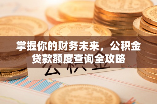 长泰掌握你的财务未来，公积金贷款额度查询全攻略