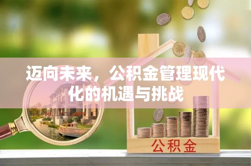 长泰迈向未来，公积金管理现代化的机遇与挑战