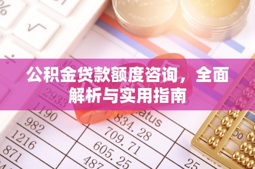 长泰公积金贷款额度咨询，全面解析与实用指南