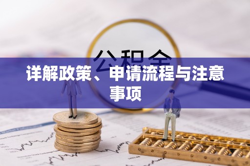 长泰详解政策、申请流程与注意事项