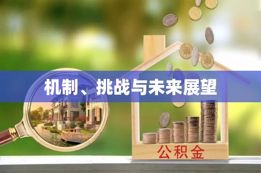 长泰机制、挑战与未来展望